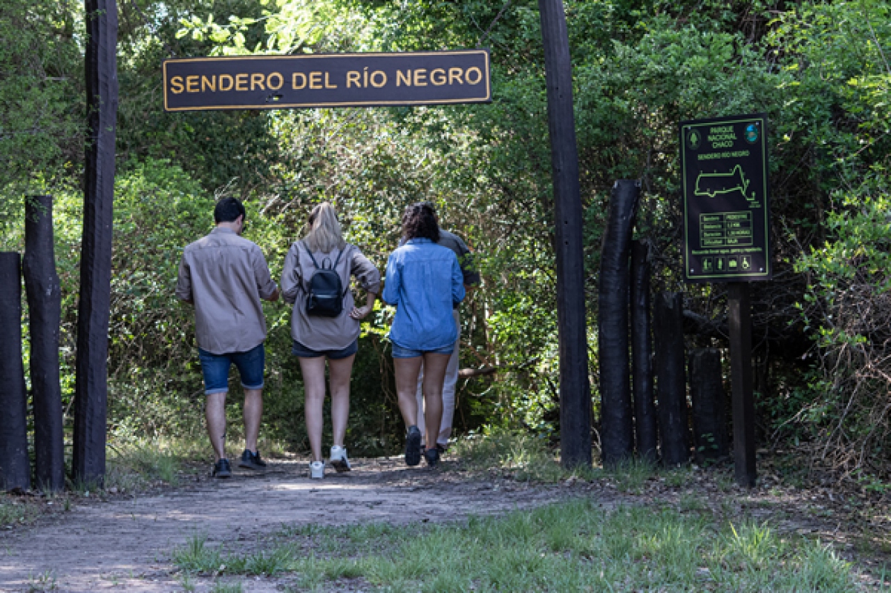 Chaco combina esculturas y selva para atraer a nuevos viajeros