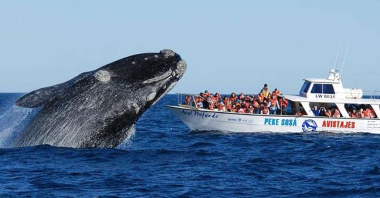 Chubut ganó un premio Oscar del turismo