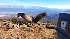 Catamarca tendrá una nueva actividad turística en la cima del cerro Ancasti