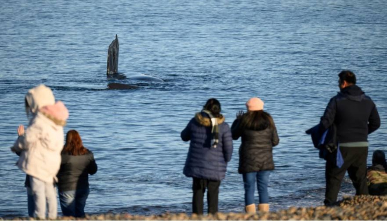 Cinco millones de turistas viajaron durante las vacaciones de invierno por la Argentina