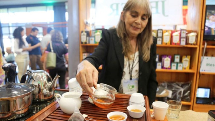 La Expo Té Argentina tuvo un productiva primera edición en Misiones