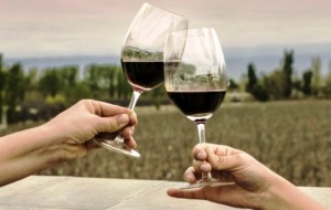 El vino Malbec lidera el enoturismo argentino