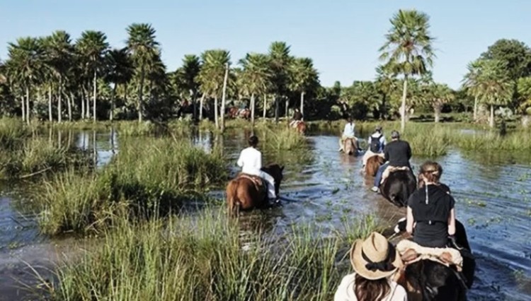 El diario New York Times eligió un parque argentino como 6° mejor destino del mundo