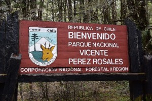 Un parque chileno tiene una pasarela de 60 metros construida con ocho toneladas de plástico reciclado