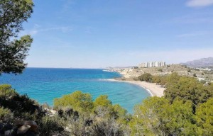 Descubrí cinco playas tropicales poco conocidas de España