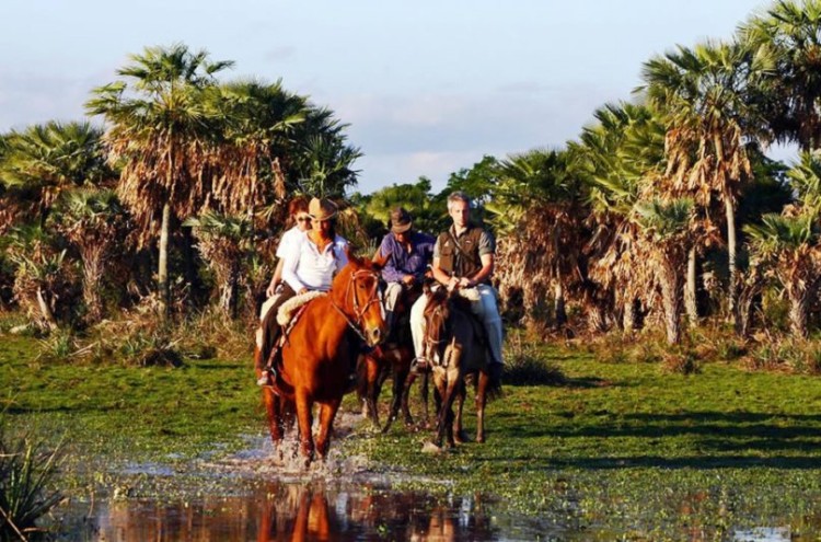 &quot;Corrientes se convirtió en un destino elegido por viajeros de toda la Argentina&quot;