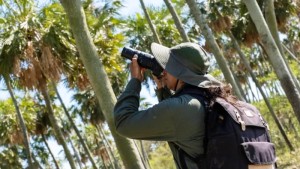 Chaco tendrá un nuevo parque nacional