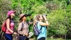 Salta lidera el ranking argentino de avistaje de aves