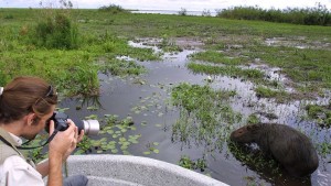 El ecoturismo se disfruta más en Esteros del Iberá