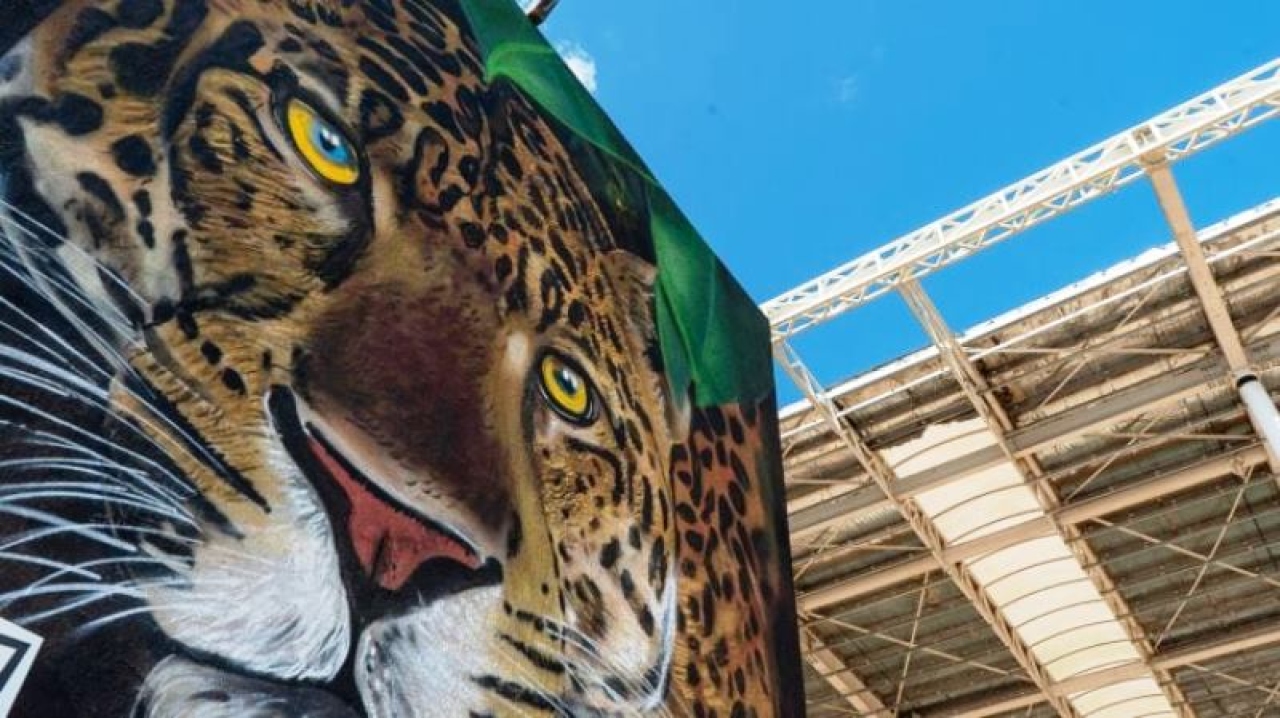 El aeropuerto de Iguazú es una obra de arte