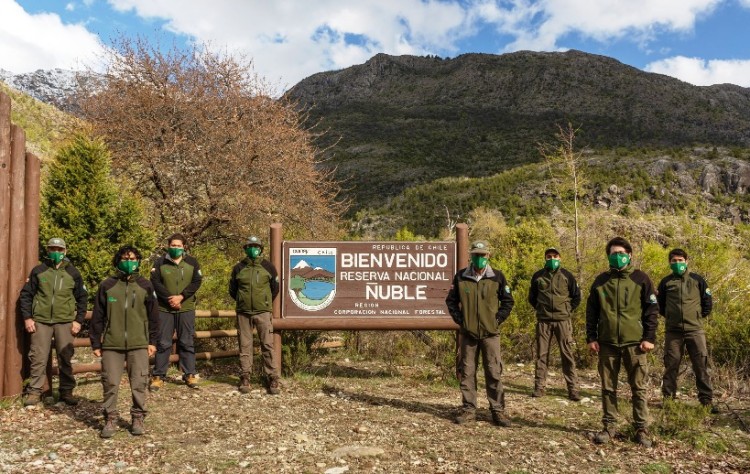 Chile perdería 100 millones de dólares mensuales por la huelga de guardaparques