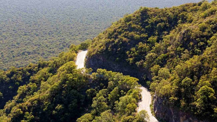 Mejores opciones para recorrer la Ruta Natural