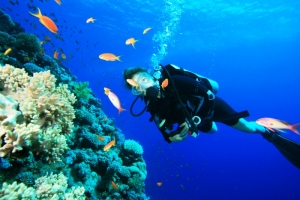 Puerto Madryn tendrá el parque subacuático más grande del sur argentino