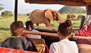 África necesita conectividad para desarrollar su potencial turístico