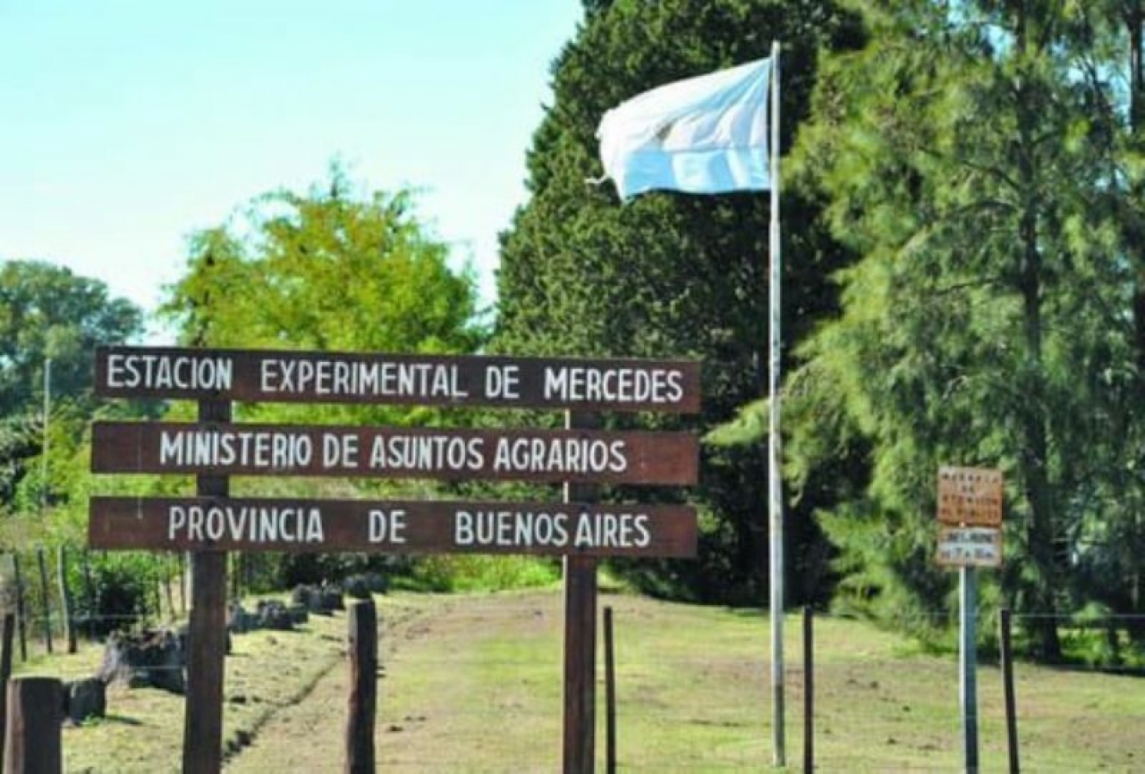 Mercedes fomenta el turismo rural