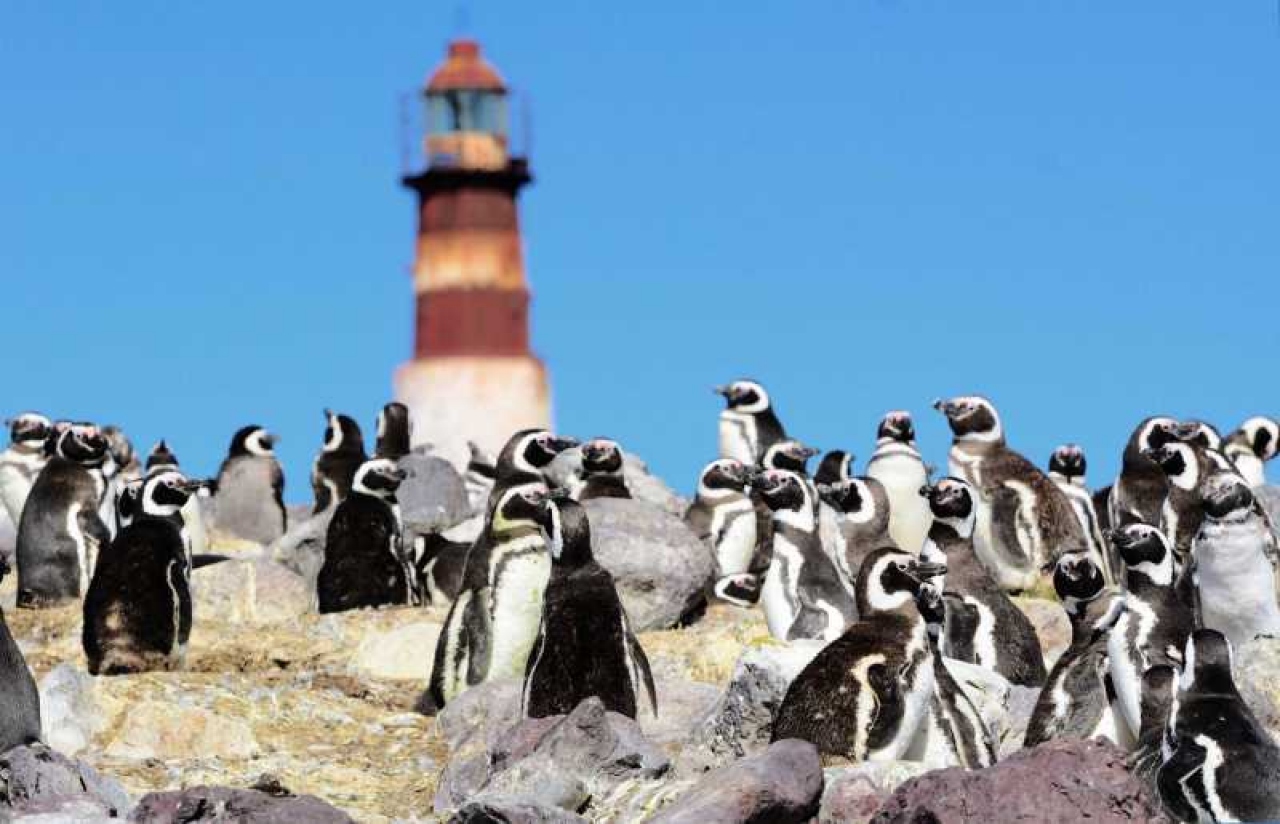 Destinos emergentes patagónicos para vacacionar en la naturaleza